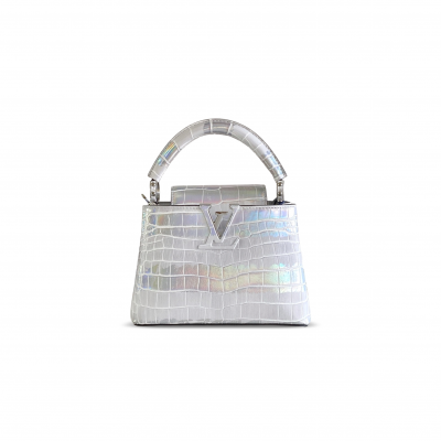 LOUIS VUITTON CAPUCINES MINI M93429 (21*14*8cm) LOUIS VUITTON CAPUCINES MINI M93429 (21*14*8cm)